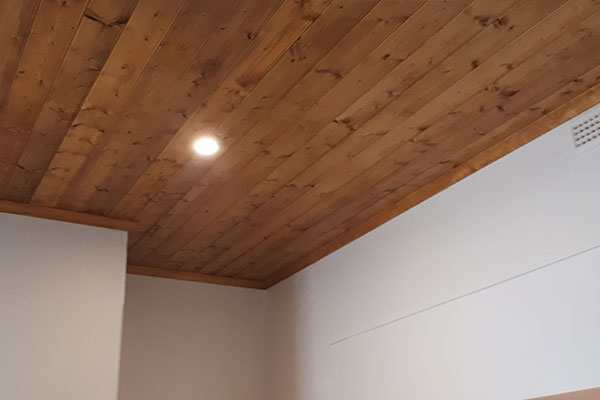 white-ant-damage-repairs-moculta-manners-building-carpentry-ceiling-replace