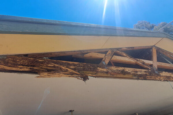 termite-repairs-house-renovation-moculta-manners-building-carpentry-south-australia (1)