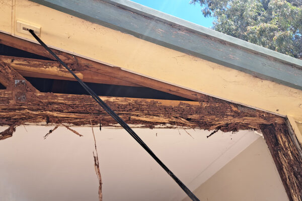 termite-repairs-house-renovation-moculta-manners-building-carpentry-south-australia (11)