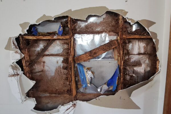 termite-repairs-house-renovation-moculta-manners-building-carpentry-south-australia (3)